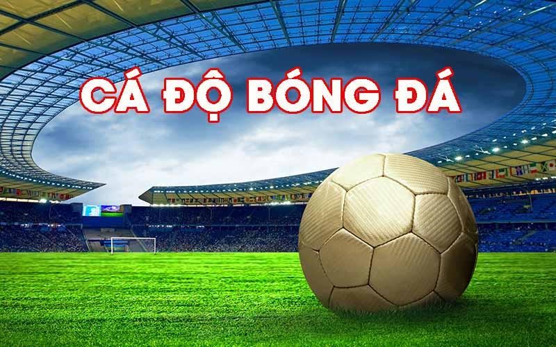 Bay789 Khám phá thế giới cá cược thể thao đỉnh cao Bay789 Khám phá thế giới cá cược thể thao đỉnh cao