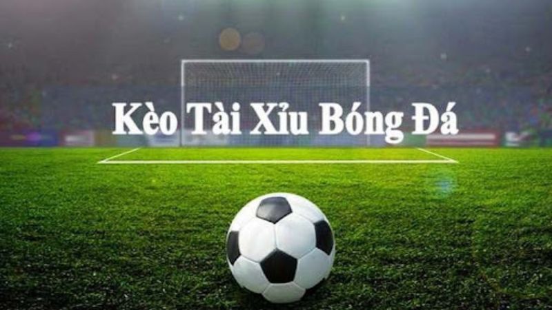 tai xiu 175 la gi 681341a023fa6